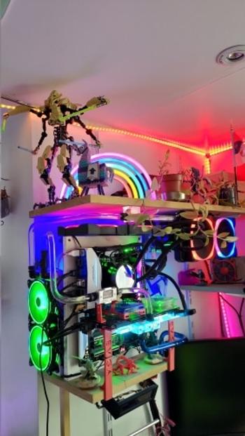 TrendyVibes.CO Colorful Rainbow Neon LED Sign Lamp Review
