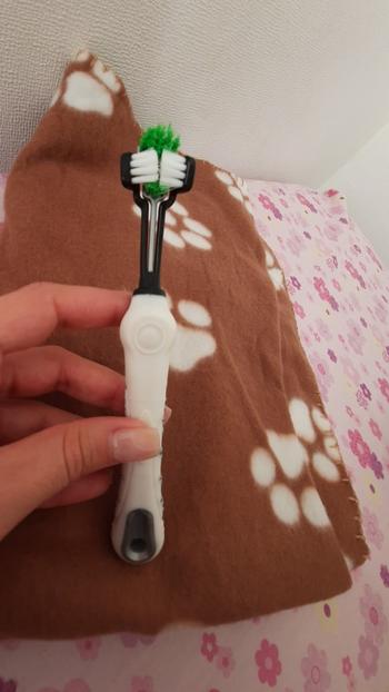 TrendyVibes.CO Three Sided Pet Toothbrush Review