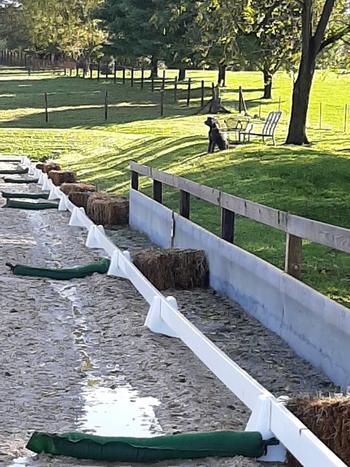 Sandbaggy Long Tube Sandbags - 4 ft length (Lasts 1-2 Yrs) - 70 lb Capacity Review