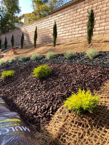 Sandbaggy Coir Mat - Erosion Control (Biodegradable) - Coconut Fibers - 4 ft Wide (Lasts 2-5 yr) Review
