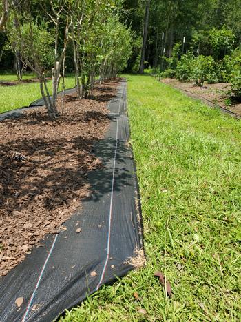 Sandbaggy 4 Ft Landscape Fabric | 40 Year Fabric | For Weed Barrier, Ground Cover, Garden | Industrial Grade Fabric | 135 Lbs of Tensile Strength | Approved by DOT | 4 ft Wide Review