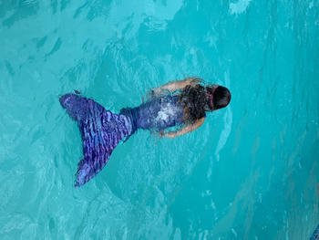 Planet Mermaid Caribbean Blue Mermaid Tail Review
