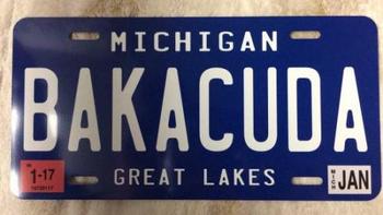 PL8HERO [Embossed/Large/US car] Michigan/Original American license plate/nameplate  Review