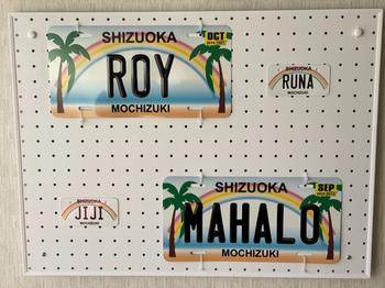 PL8HERO [Mini] Hawaii Rainbow/Original American License Plate/Nameplate Review