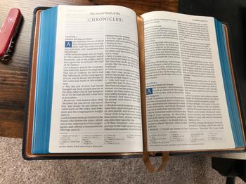 Humble Lamb KJV Lion - Sahara Blue Review