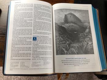 Humble Lamb KJV Lion - Sahara Blue Review