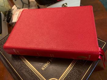 Humble Lamb KJV Lion - Red Review