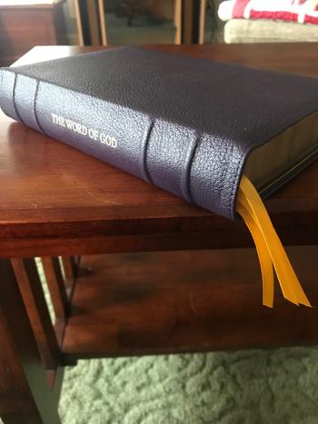 Humble Lamb NKJV Shepherd - Amethyst Review