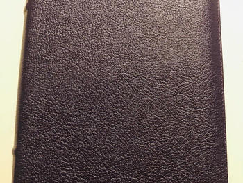 Humble Lamb NKJV Shepherd - Amethyst Review