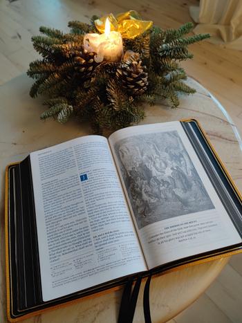 Humble Lamb KJV Lion - Lunar Yellow Review