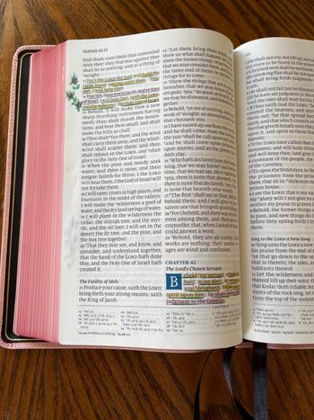 Humble Lamb KJV Lion - Ethereal Pink Review