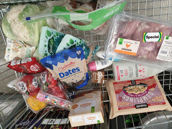 Shupatto NZ Foldable Tote (M) Review