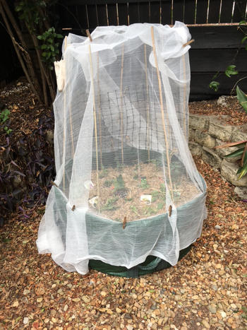 Aussie Gardener Huge Planter Bag for growing veggies - 400Litre Review