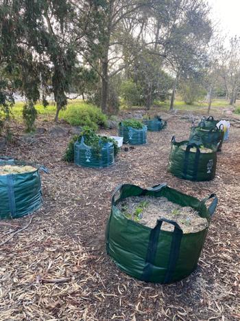 Aussie Gardener Huge Planter Bag for growing veggies - 400Litre Review