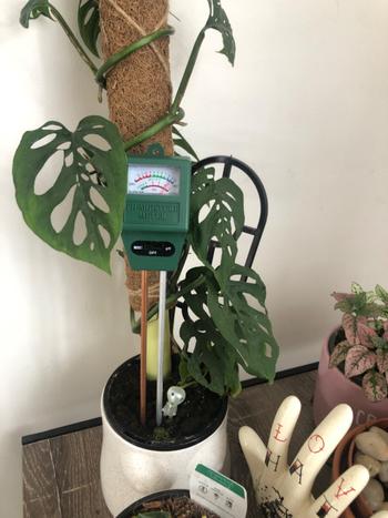 Aussie Gardener Aussie Gardener 2 in 1 pH & Soil Moisture Meter Review