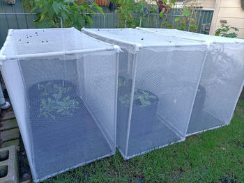 Aussie Gardener Netting - 2MM Woven Veggie Net 6MX6M Review