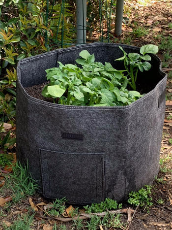 Aussie Gardener Aussie Gardener Potato Planter Bags - the easy way to grow potatoes at home Review