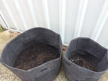 Aussie Gardener Aussie Gardener Potato Planter Bags - the easy way to grow potatoes at home Review