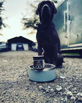 Alpha Dog Nutrition Balance Probiotic For Dogs Review