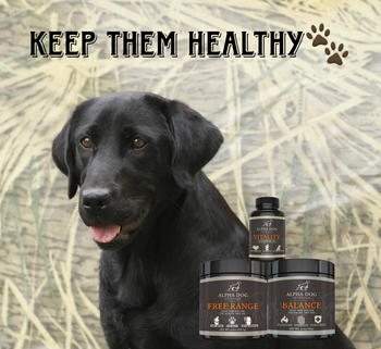 Alpha Dog Nutrition Balance Probiotic For Dogs Review
