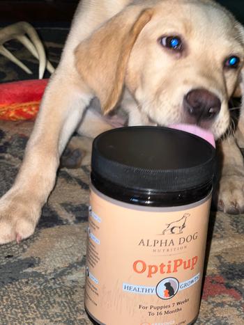 Alpha Dog Nutrition OptiPup Supplement for Puppies Review