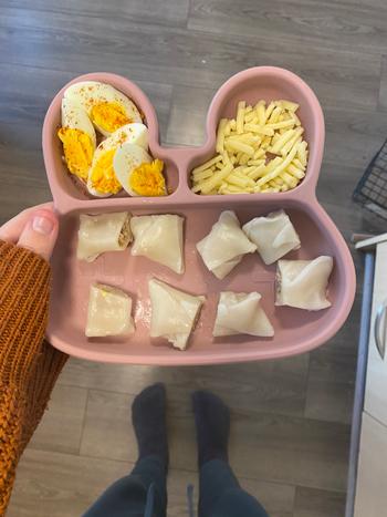 We Might Be Tiny Bunny Stickie® Plate - Dusty Rose Review