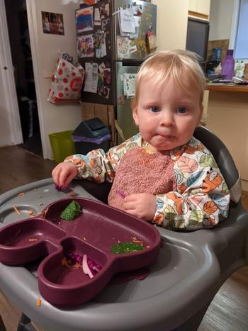 We Might Be Tiny Bunny Stickie® Plate - Plum Review
