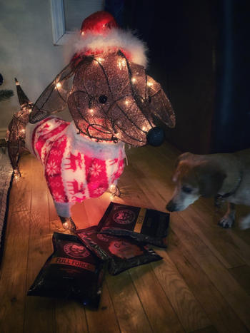 Rampage Coffee Co. Two 5 Pound Bags, Insulated Mug + BONUS Sampler Bundle | Rampage Coffee Co. Review