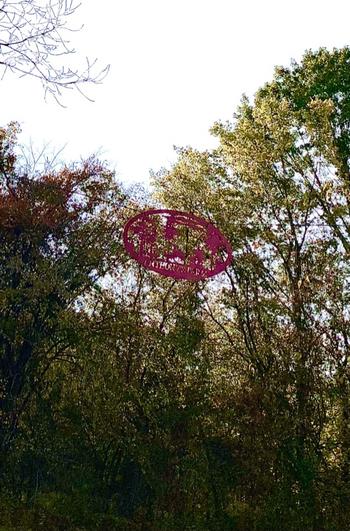 Lakeshore Metal Decor Deer Oval Monogram Review