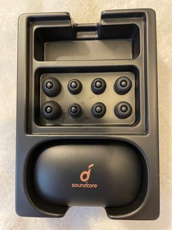 Dab Lew Tech Anker Soundcore Life P2 True Wireless Earbuds - Black Review