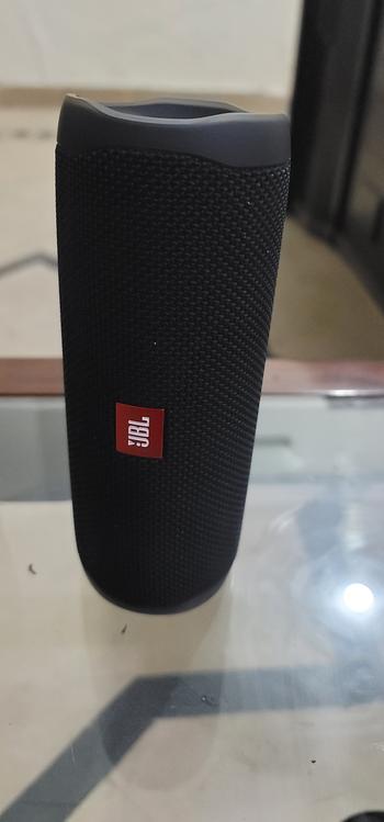 Dab Lew Tech JBL FLIP 5 Black - Portable Waterproof Speaker Review