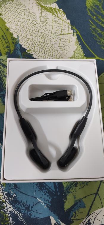 Dab Lew Tech Soundpeats RunFree Lite2  Open-Ear Air Conduction Sport Blutooth Earphones - Black Review