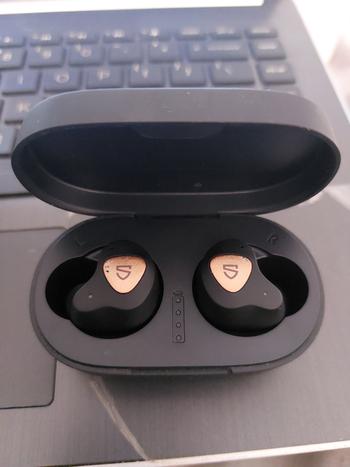 Dab Lew Tech SoundPEATS Truengine 3 SE True Wireless Earbuds Bluetooth Dual Mic V2.0 aptX Dual Dynamic Drivers Review