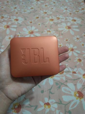 Dab Lew Tech JBL GO2 Waterproof Ultra Portable Bluetooth Speaker – Cinnamon Review