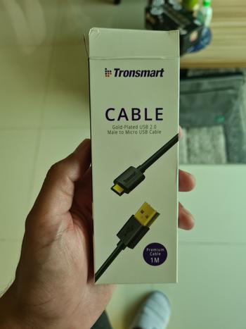 Dab Lew Tech Tronsmart S3C02 4ft   8ft 3.5mm Premium Stereo AUX Audio Cable Review