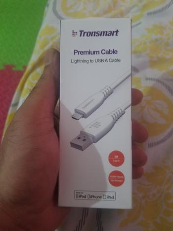 Dab Lew Tech Tronsmart LAC09 10ft Lightning Cable Review