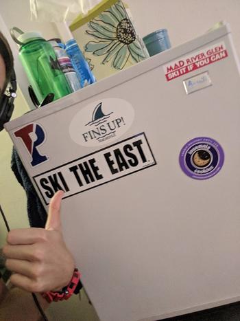 Ski The East Classic Sticker Pack Review