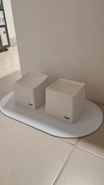 DOG By Dr Lisa CAT Corner Bowls Review
