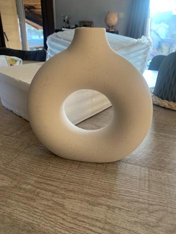 ArtZMiami ArtZ® Hollow Ceramic Vase Review