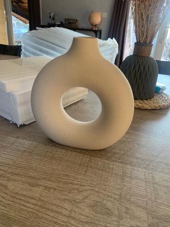 ArtZMiami ArtZ® Hollow Ceramic Vase Review