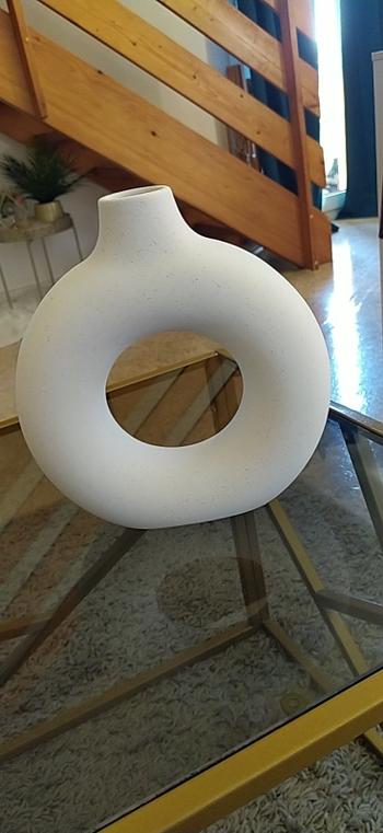 ArtZMiami ArtZ® Hollow Ceramic Vase Review
