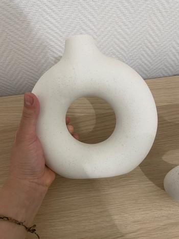 ArtZMiami ArtZ® Hollow Ceramic Vase Review