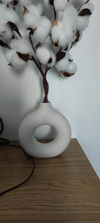 ArtZMiami ArtZ® Hollow Ceramic Vase Review