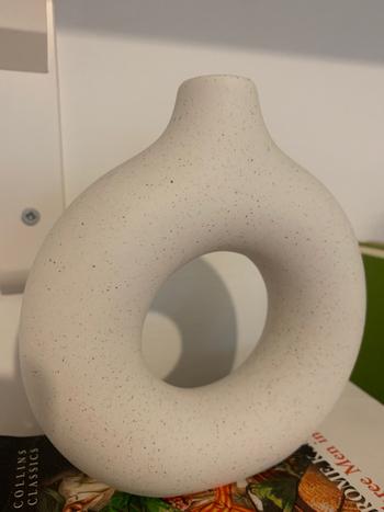 ArtZMiami ArtZ® Hollow Ceramic Vase Review