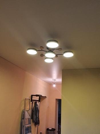ArtZMiami ArtZ® Nordic Ceiling Lamp Review