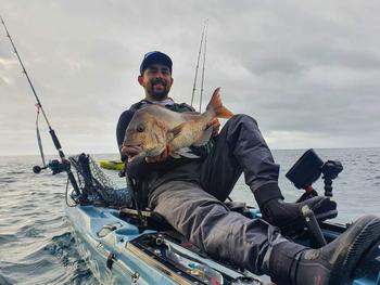 BerleyPro Catch Black Label Livies Jerkshad Review