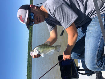 BerleyPro Lowrance Visors Review