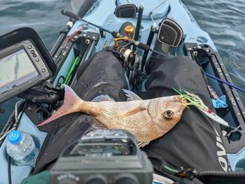 BerleyPro Tackle Tether Review