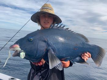 BerleyPro Catch Black Label Livies Curly Tails Review