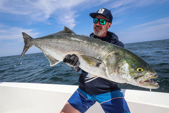 BerleyPro Catch Handmade Diving Popper Mojo D Series Review